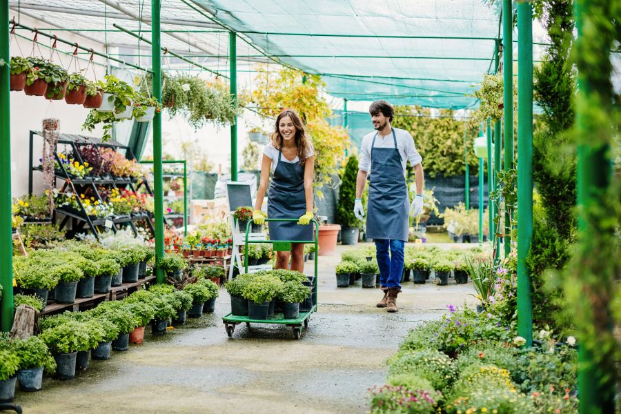 Növények beszerzése